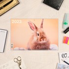 Календарь квартальный, трио "Символ Года - 5" 2023 год, 31х69см 9229031