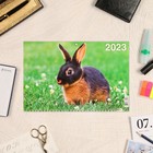 Календарь квартальный, трио "Символ Года - 7" 2023 год, 31х69см 9229033