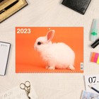 Календарь квартальный, трио "Символ Года - 9" 2023 год, 31х69см 9229035