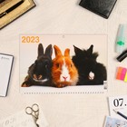 Календарь квартальный, трио "Символ Года - 19" 2023 год, 31х69см 9229045