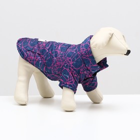 Куртка для собак "Матрица", размер 10, сине-розовая (ДС 28, ОШ 26, ОГ 34 см)