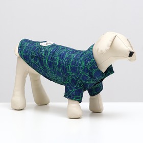 Куртка для собак "Матрица", размер 10, сине-зелёная (ДС 28, ОШ 26, ОГ 34 см)