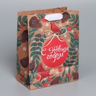 Пакет крафтовый вертикальный «Новогоднее мгновение», MS 18 × 23 × 10 см - фото 802286982