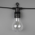 Гирлянда «Белт-лайт» 5 м с насадками «Роса», IP44, УМС, тёмная нить, 50 LED, свечение мульти, 3 В 7989821