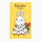 Полотенце Доляна "Новогоднее чудо" 35х60 см, 100% хлопок, 160 г/м2 - фото 802339063