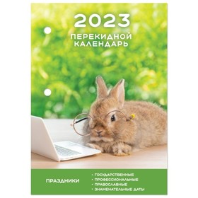 Календарь-ежедневник, настольный, перекидной, 2023 год, STAFF "Умный кролик", 160 листов, газетный блок, 1 краска 9262417