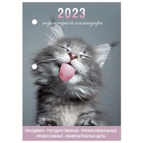 Календарь-ежедневник, настольный, перекидной, 2023 год, STAFF Meow, 160 листов, блок офсет, 2 краски