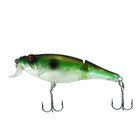 Воблер TROUT PRO ROTAN JOINT 60 F, 60 мм, 6.5 г, 0.3 м, цвет G2 9263488 - фото 7655518