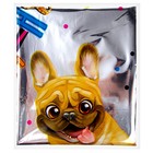 Фольгированный шар 18" «С др, песик» круг 9229203