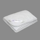 Одеяло облегченное Лебяжий пух 200х220 см, полиэфирное волокно 200гр, тик - фото 5662917