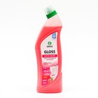 Чистящий гель Gloss pink, для ванны и туалета, 1000 мл 9228551 - фото 7177933