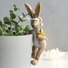 Сувенир полистоун подвес на кашпо "Кролик в колпаке со звездой" 5,2х6х14 см - фото 8179478