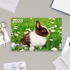 Календарь квартальный, трио "Символ Года - 10" 2023 год, 31х69см 9229036