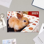 Календарь квартальный, трио "Символ Года - 11" 2023 год, 31х69см 9229037