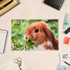 Календарь квартальный, трио "Символ Года - 14" 2023 год, 31х69см 9229040