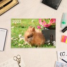 Календарь квартальный, трио "Символ Года - 18" 2023 год, 31х69см 9229044