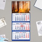 Календарь квартальный, трио "Природа - 2" 2023 год - фото 5736575