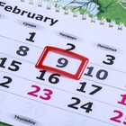 Календарь квартальный, трио "Тигр с бабочкой" 9262488