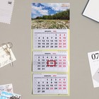 Календарь квартальный, трио "Поле" 19х46см - фото 6966885