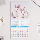 Календарь перекидной на скрепке "Символ Года - 1" 2023 год, 28,5х28,5 см 9229016