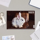Календарь квартальный, трио "Символ Года - 13" 2023 год, 31х69см 9229039