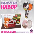 Подарочный набор «Кошечка с подарком», 2 предмета: массажные расчёски, цвет МИКС 9188652 - фото 7178348