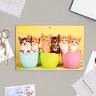 Календарь квартальный, трио "Котята - 2" 2023 год, 31х69см 9229059