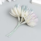 Декор для творчества "Игольчатая астра" 1 букет=6 цветков сиренево-белый 4х13 см - фото 802368708