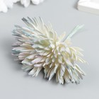 Декор для творчества "Игольчатая астра" 1 букет=6 цветков сиренево-белый 4х13 см - фото 802368709