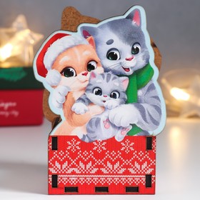 Органайзер "Кот. Семья" 12х9 см