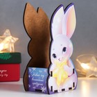 Органайзер "Кролик и звёзды" 15х8 см - фото 802369152