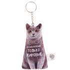 Брелок антистресс «Из накоплений» - фото 108211370