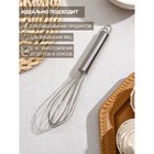 Венчик кулинарный Доляна «Стандарт», 21×4,5×4,5 см - фото 802373091