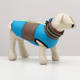 Куртка для собак с ошейник, размер 10 (ДС 25 см, ОГ 34 см, ОШ 24 см), серо-голубая