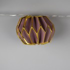 Гирлянда «Нить» 2 м с насадками «Фиолетовый фонарик», IP20, прозрачная нить, 10 LED, свечение тёплое белое, AAх2 7989811