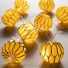 Гирлянда «Нить» 2 м с насадками «Розовый фонарик», IP20, прозрачная нить, 10 LED, свечение тёплое белое, AAх2 7989813