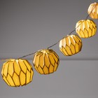 Гирлянда «Нить» 2 м с насадками «Розовый фонарик», IP20, прозрачная нить, 10 LED, свечение тёплое белое, AAх2 7989813