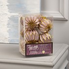 Гирлянда «Нить» 2 м с насадками «Розовый фонарик», IP20, прозрачная нить, 10 LED, свечение тёплое белое, AAх2 7989813