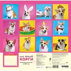 Календарь настенный «Мой яркий корги» на 2023 год, 30х30 см 9292870