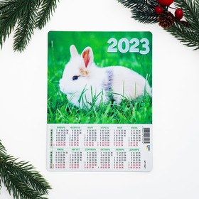 Календарь на магните "Символ года - 11" 2023 год, 14х21см