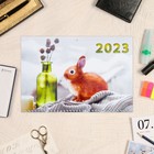 Календарь квартальный, трио "Символ Года - 4" 2023 год, 30х69см 9241491