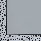 Пленка флористическая "Кант с горошком", 58 х 58 см 7646220