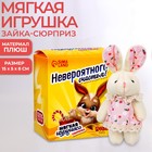 Мягкая игрушка «Невероятного счастья!», МИКС (цвет платья) 9100084 - фото 7846699