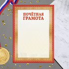 Почетная грамота "Универсальная" красная рамка, бумага, А4 - фото 5794835