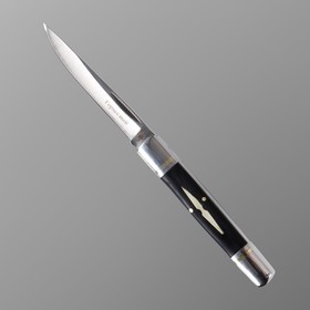 Нож складной "Горностай" сталь - 420, рукоять - сталь/дерево, клинок - 8 см