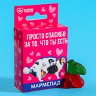 Мармелад в коробке с европодвесом «Спасибо за то, что ты есть», 50 г. - фото 5768483