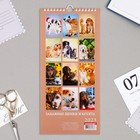 Календарь перекидной на ригеле "Щенки и котята" 2023 год, 16,5 х 34 см 9223041