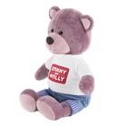 Мягкая игрушка "Мишка Ронни в футболке с логотипом", 21 см RM-R004-21 - фото 802396228