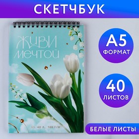 Скетчбук А5, 40 л 100 г/м2 «Живи мечтой» 9240900