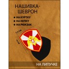 Нашивка-шеврон повседневный "Росгвардия" с липучкой, 7.5 х 10 см 9281248 - фото 6710494